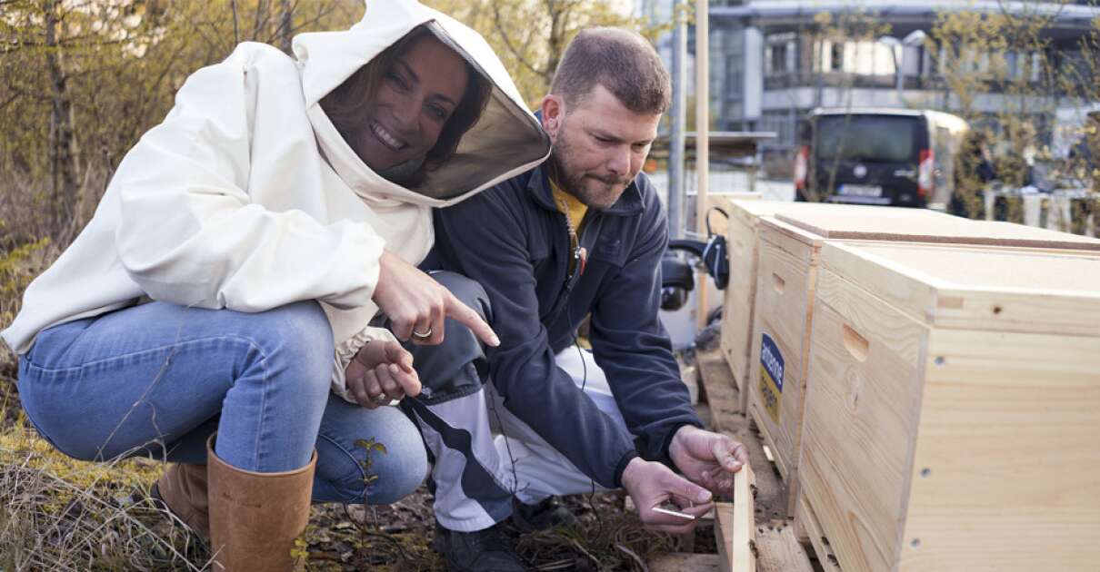 ANTENNE BAYERN setzt sich für nachhaltigen Schutz von Bienen in Bayern ein