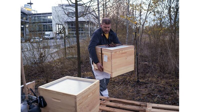 Imker Andreas bereitet die neue Unterkunft der ANTENNE BAERN-Bienen vor